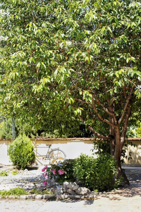 Zsh Apartment Ohrid Bagian luar foto